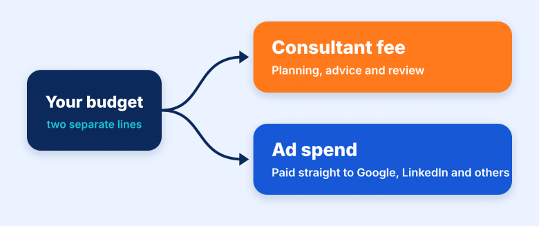 digital marketing consultant